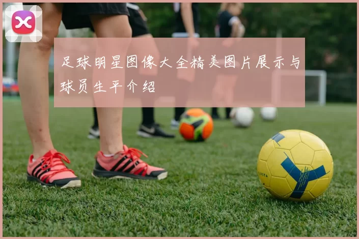 足球明星图像大全精美图片展示与球员生平介绍