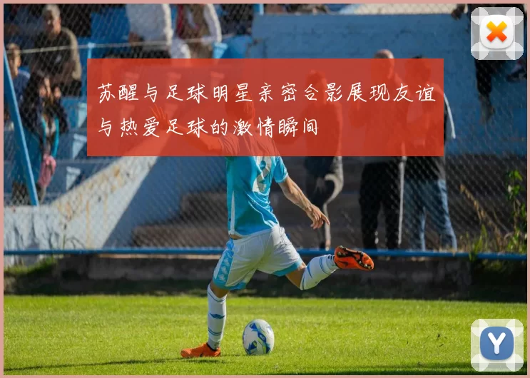 苏醒与足球明星亲密合影展现友谊与热爱足球的激情瞬间