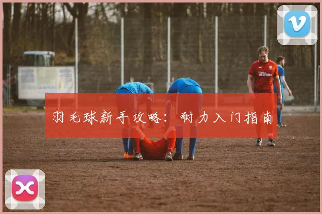 羽毛球新手攻略：耐力入门指南