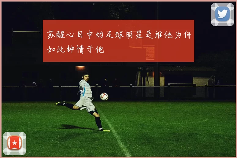 苏醒心目中的足球明星是谁他为何如此钟情于他