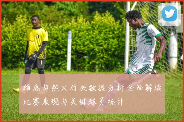 雄鹿与热火对决数据分析全面解读比赛表现与关键球员统计