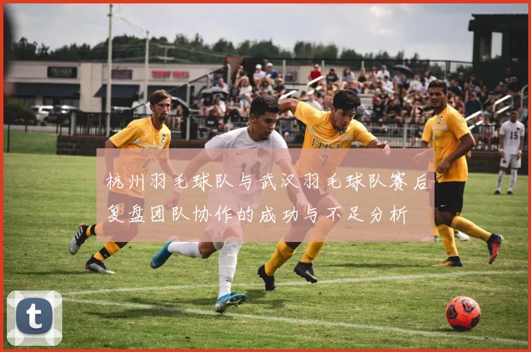 杭州羽毛球队与武汉羽毛球队赛后复盘团队协作的成功与不足分析