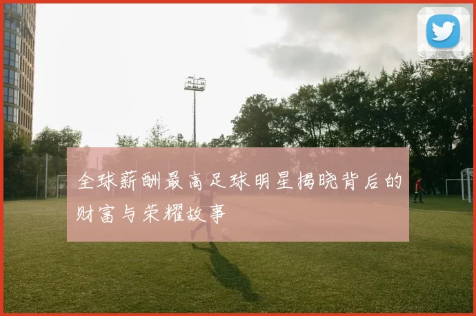 全球薪酬最高足球明星揭晓背后的财富与荣耀故事