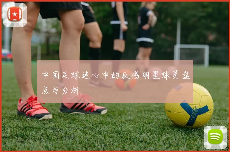 中国足球迷心中的反感明星球员盘点与分析