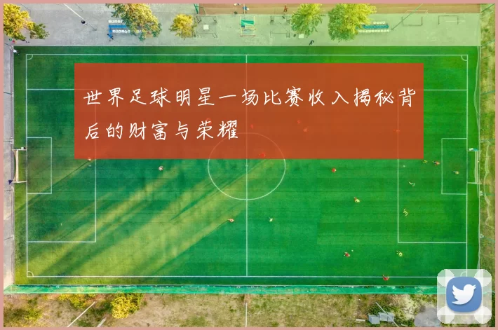世界足球明星一场比赛收入揭秘背后的财富与荣耀