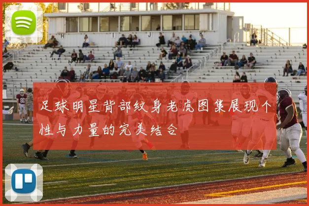 足球明星背部纹身老虎图集展现个性与力量的完美结合
