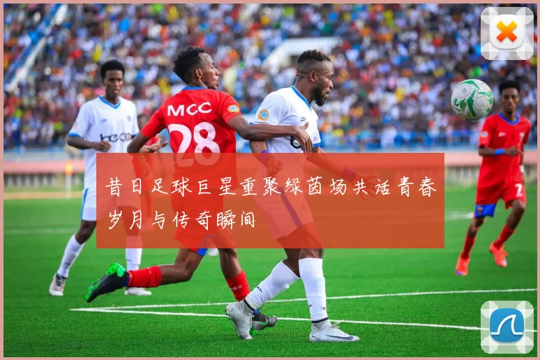 昔日足球巨星重聚绿茵场共话青春岁月与传奇瞬间