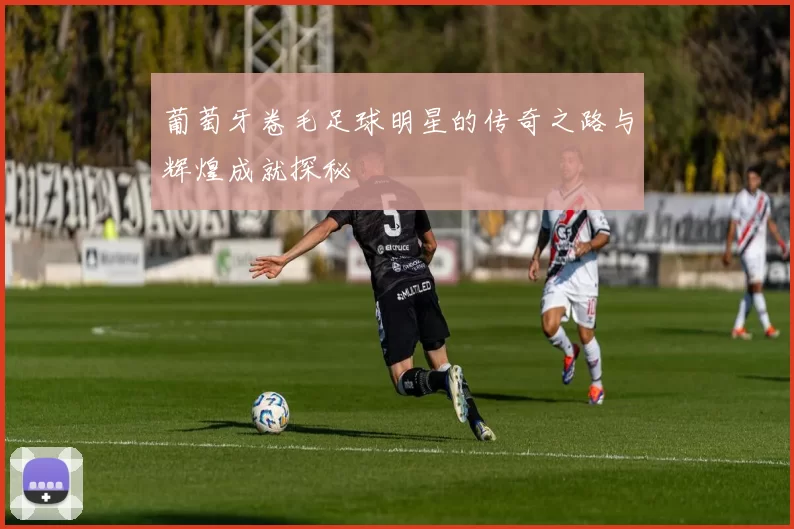 葡萄牙卷毛足球明星的传奇之路与辉煌成就探秘