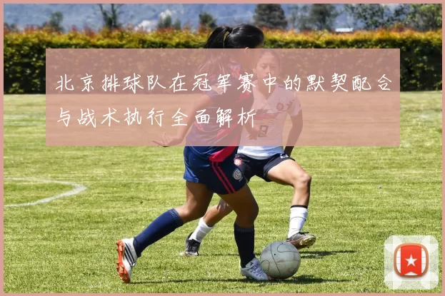 北京排球队在冠军赛中的默契配合与战术执行全面解析