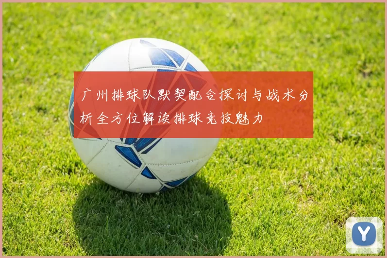 广州排球队默契配合探讨与战术分析全方位解读排球竞技魅力