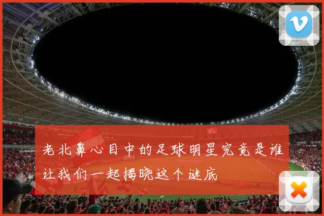 老北鼻心目中的足球明星究竟是谁让我们一起揭晓这个谜底