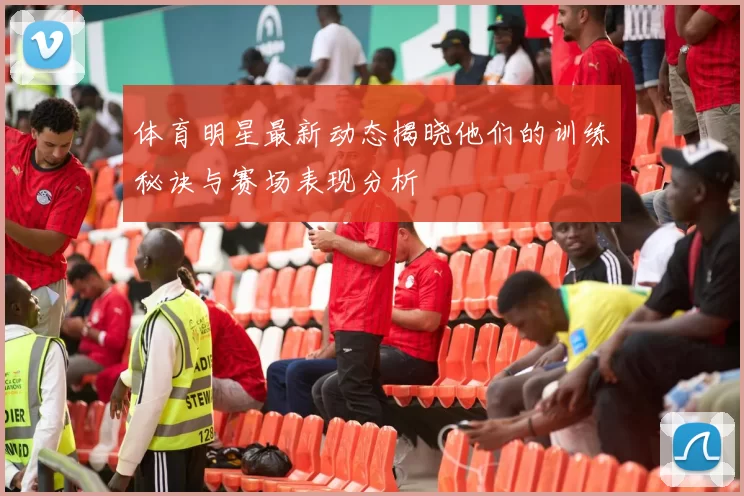 体育明星最新动态揭晓他们的训练秘诀与赛场表现分析