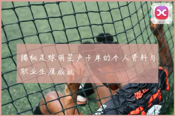 揭秘足球明星卢卡库的个人资料与职业生涯成就
