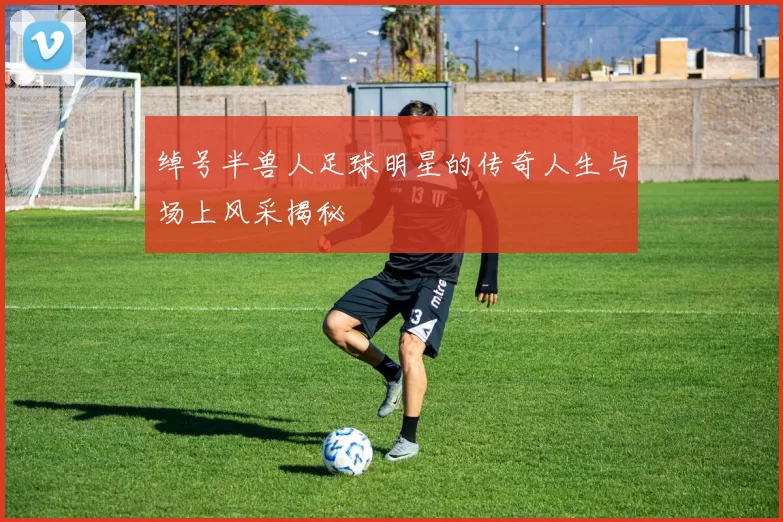 绰号半兽人足球明星的传奇人生与场上风采揭秘